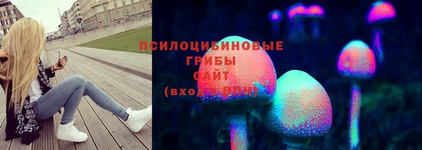 мяу мяу мука Нея
