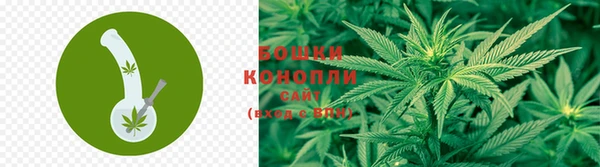 гидра Нефтегорск