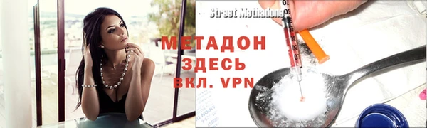 шишки Аша