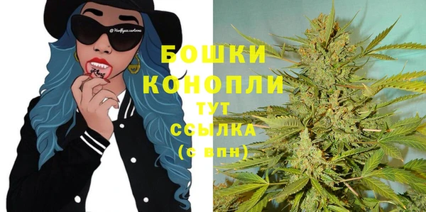 шишки Аша