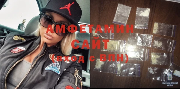 шишки Аша